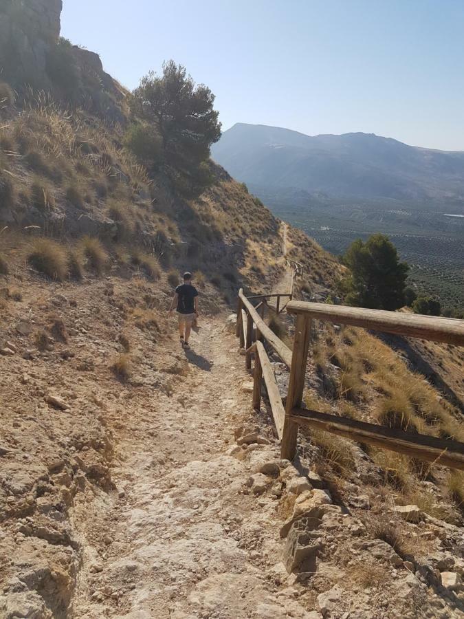 Jaén Apartamentos Rurales La Dehesa Del Acebuche מראה חיצוני תמונה