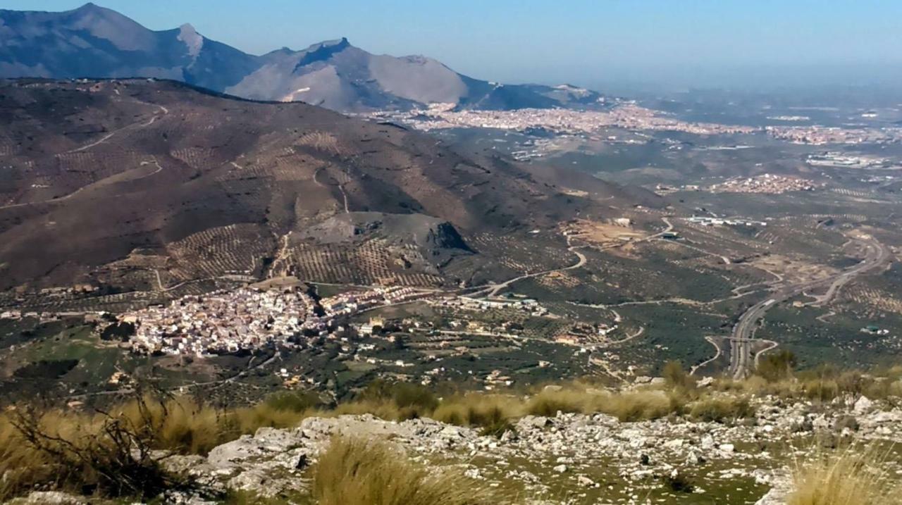 Jaén Apartamentos Rurales La Dehesa Del Acebuche מראה חיצוני תמונה