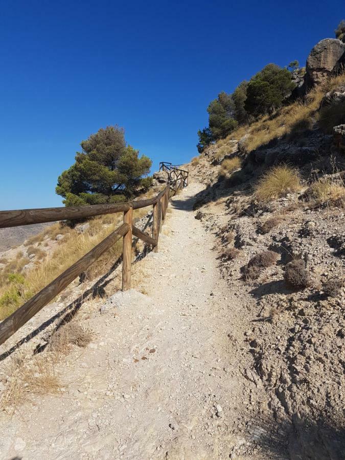 Jaén Apartamentos Rurales La Dehesa Del Acebuche מראה חיצוני תמונה