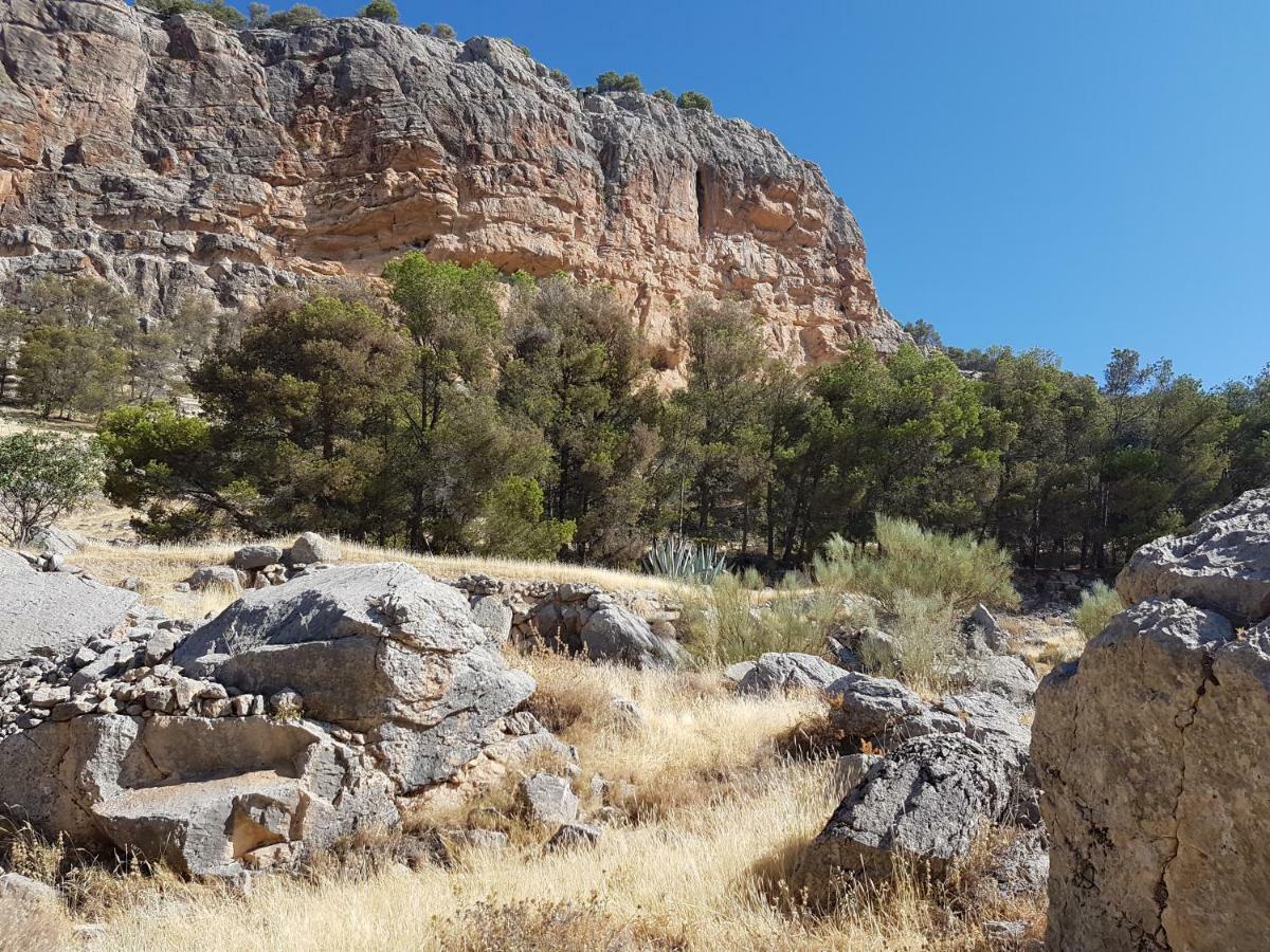 Jaén Apartamentos Rurales La Dehesa Del Acebuche מראה חיצוני תמונה