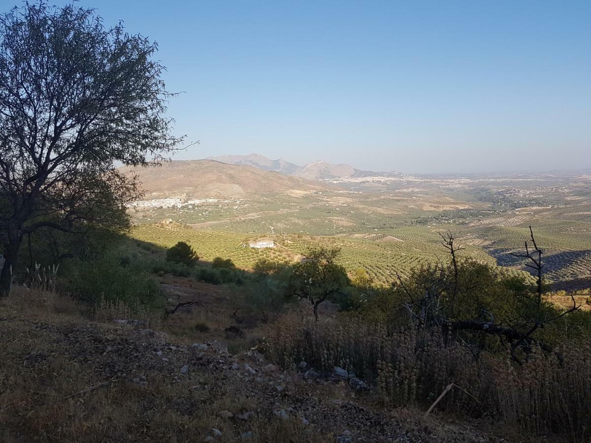 Jaén Apartamentos Rurales La Dehesa Del Acebuche מראה חיצוני תמונה
